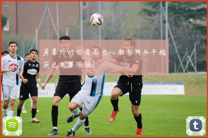 屏幕外的你是否也心潮澎湃和平精英总决赛现场!